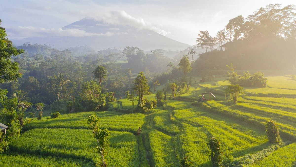 Trekking the peaks and Jungles of Beautiful Bali, 29 August | Event in Ubud | AllEvents