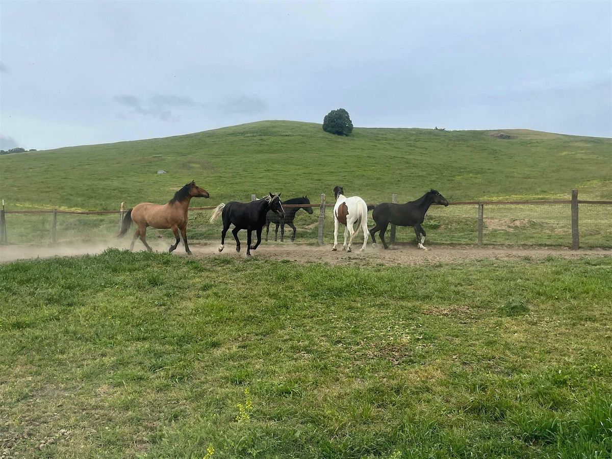 CLOSED EVENT for HSP Gathering Retreat | HSPs and Horses: Speaking Horse, 8 June | Event in Petaluma | AllEvents