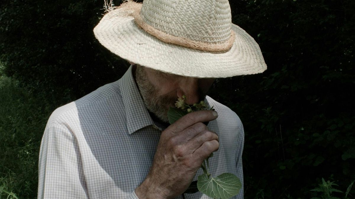 7 Walks With Mark Brown, 14 July | Event in Portland | AllEvents
