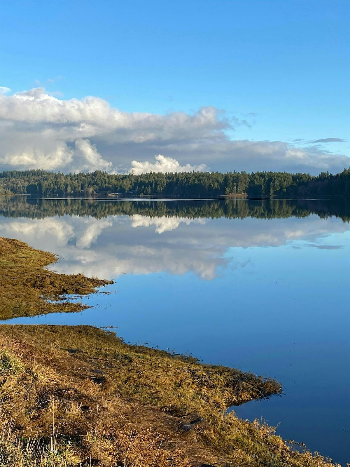 Teachings of the Water, 24 May | Event in Olympia | AllEvents