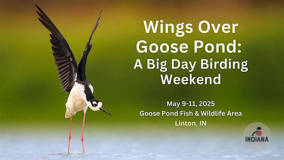 Wings Over Goose Pond: A Big Day Birding Weekend | Event in Linton | AllEvents