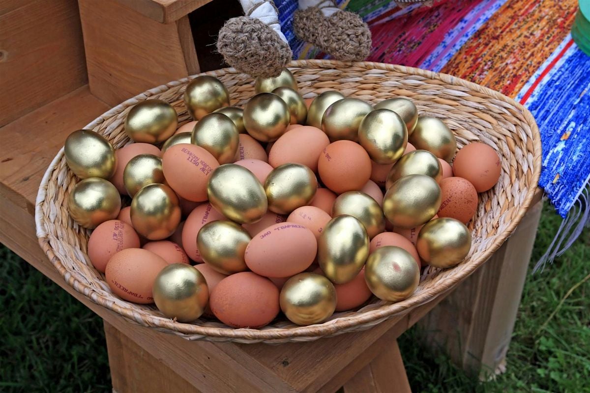 Cook Like a Pro: Everything You Want to Know About Eggs, 24 May | Event in Philadelphia | AllEvents