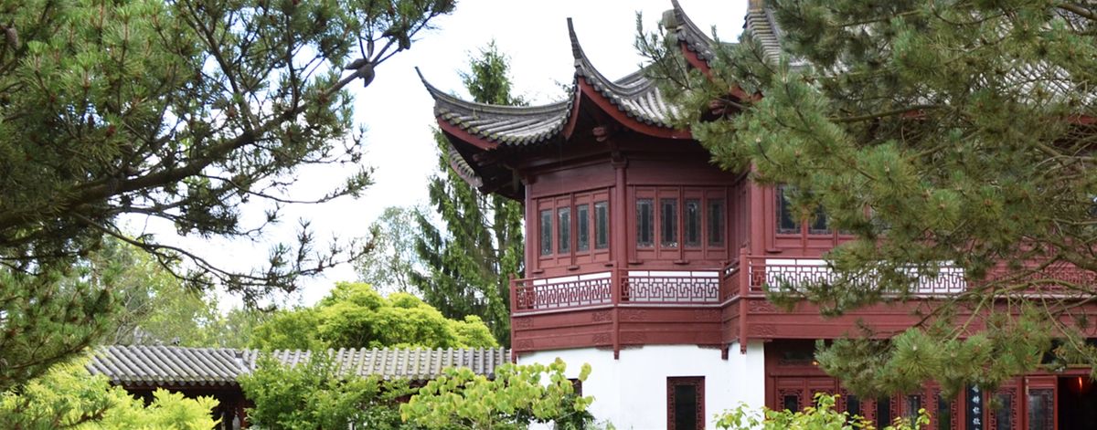 Open dag Chinese Tuin - De draak danst weer | Event in Haren | AllEvents