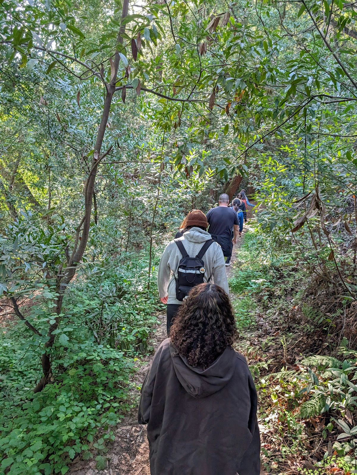 Hike and meditation pop-up  by Mindful Movement, 10 August | Event in San Jose | AllEvents