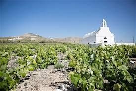 The Wines of Greece, 14 August | Event in Evanston | AllEvents