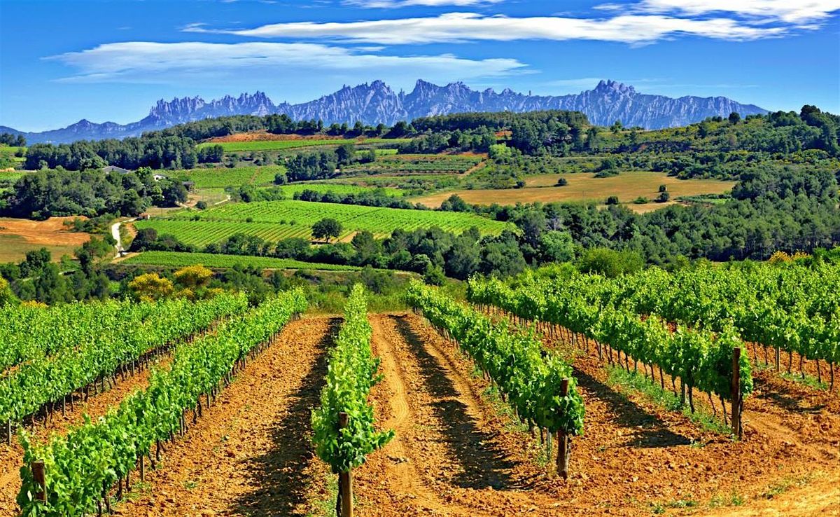 D.O Cava from El Penedés Wine Tasting and Cheese Pairing, 7 July | Event in Cork | AllEvents