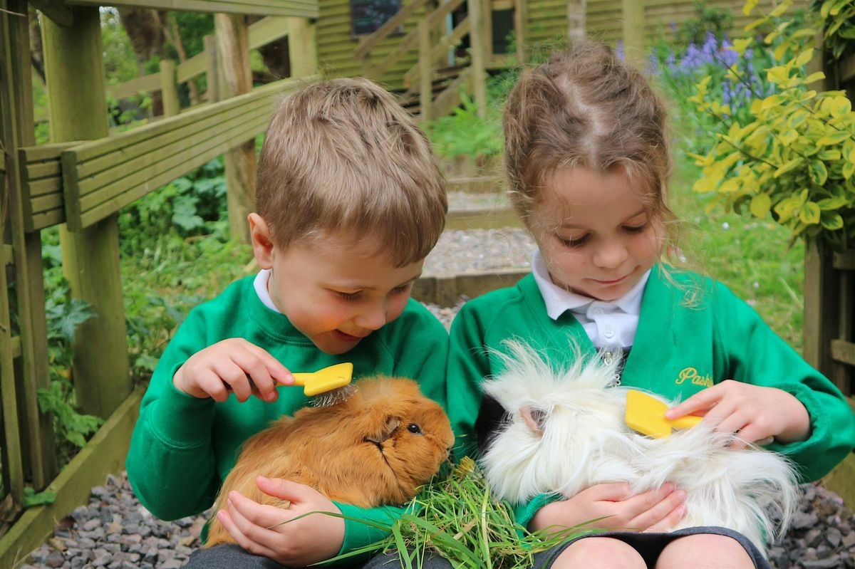 Open Morning 20th November, 20 November | Event in Eastbourne | AllEvents