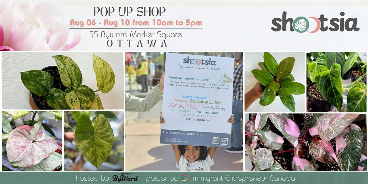 Tropical Plants & Immigrant Passion – Ottawa Pop-Up Just for you!, 6 August | Event in Ottawa | AllEvents