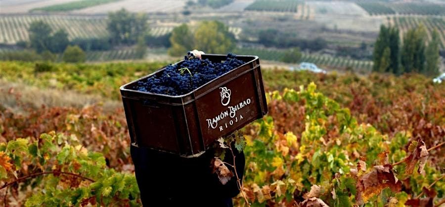Ramon Bilbao Wine Tasting at The Rux! | Event in Nashville | AllEvents