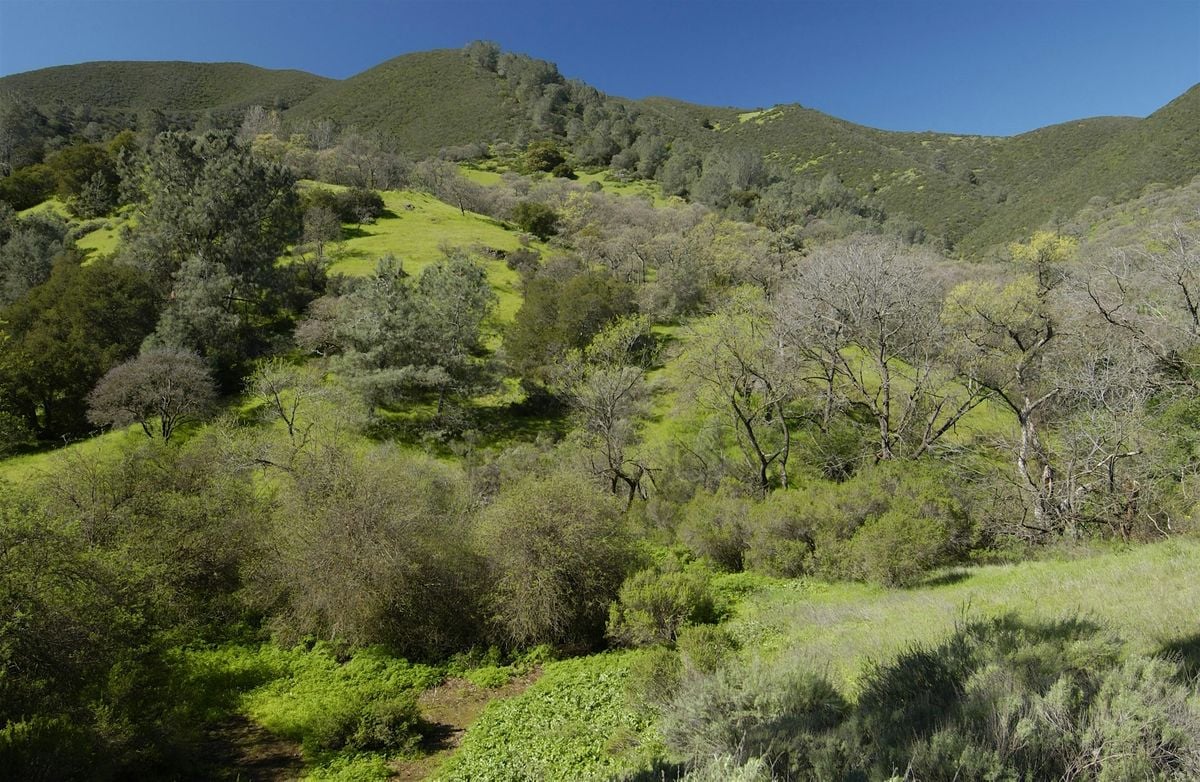 Queerness in Nature: A LGBTQIA+ Hike with Branching Out Adventures, 18 October | Event in Clayton | AllEvents