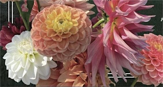 Wappinger Dahlia (Flower) Show, 14 September | Event in Wappingers Falls | AllEvents