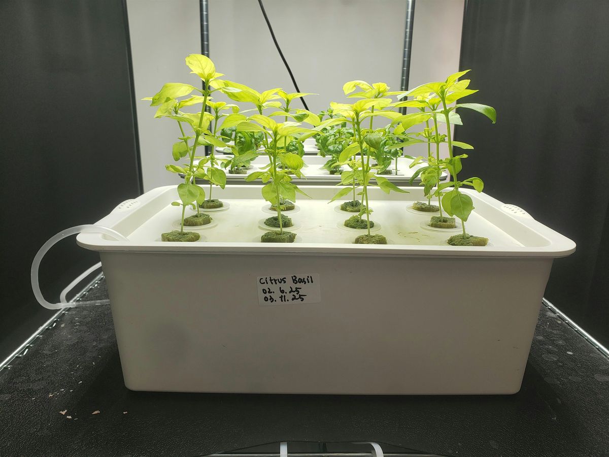 Learn Hydroponics! Learn how to build your own hydroponic system!, 11 July | Event in North Las Vegas | AllEvents