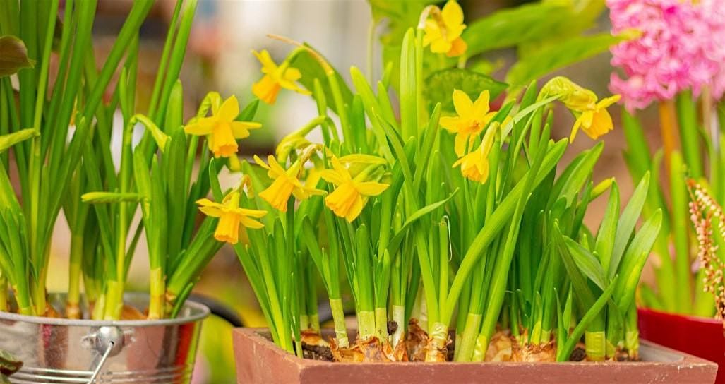 Bulb Planting Workshop FREE In-person, 1 November | Event in London | AllEvents