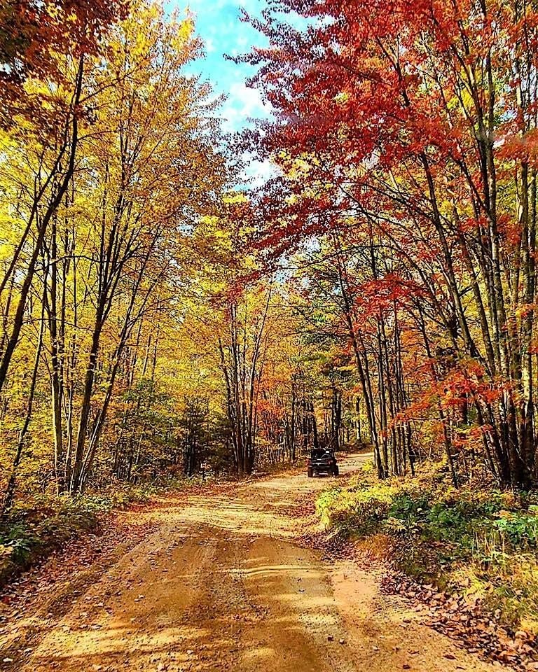 Fall Foliage and Sunset Dinner Cruise!!, 4 October | Event in Walford | AllEvents