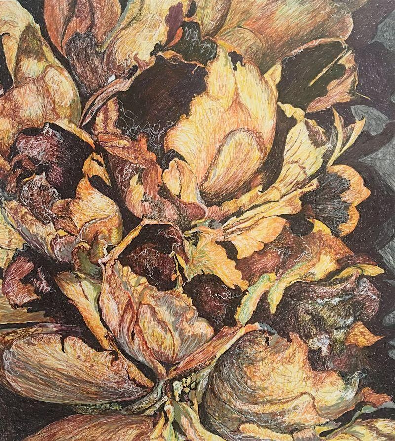 Drawing Basics w/Nora Dixon (4 sessions): Thursdays 10/9-10/30, 9 October | Event in Palm Valley | AllEvents