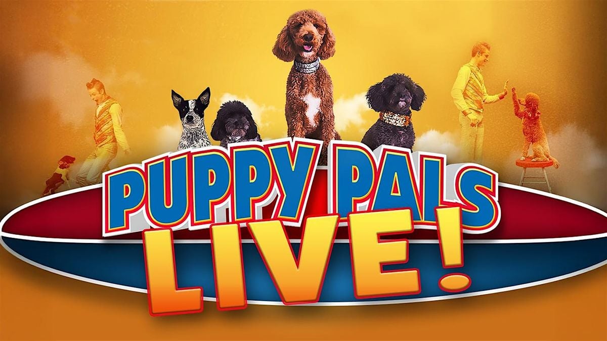 Puppy Pals LIVE, 3 November | Event in Boca Raton | AllEvents