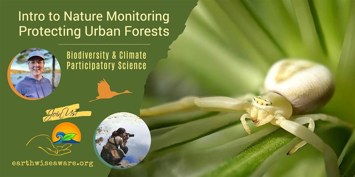 Introduction to Nature Monitoring – Protecting Urban Forests, 14 July | Event in Medford | AllEvents