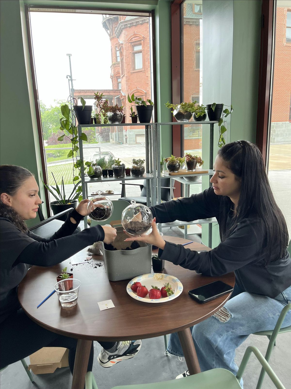 Sunday Sips & Succulents - Terrarium Workshop | Event in Newark | AllEvents