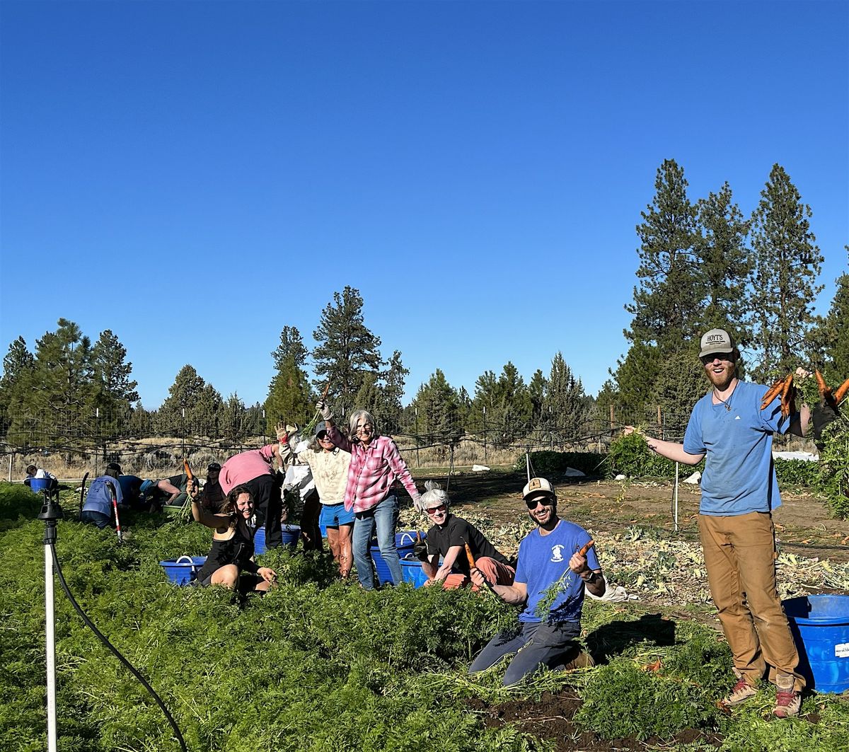 Community Volunteer Days at Seed to Table Farm, 12 August | Event in Sisters | AllEvents