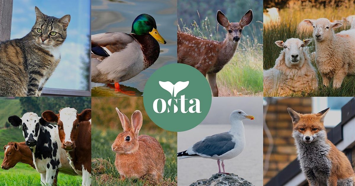 OSTA Talks Flanders 3:  Living with Animals in the City, 17 January | Event in Leuven | AllEvents