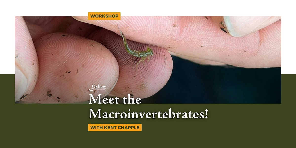 Meet the Macroinvertebrates!, 11 July | Event in Carnation | AllEvents