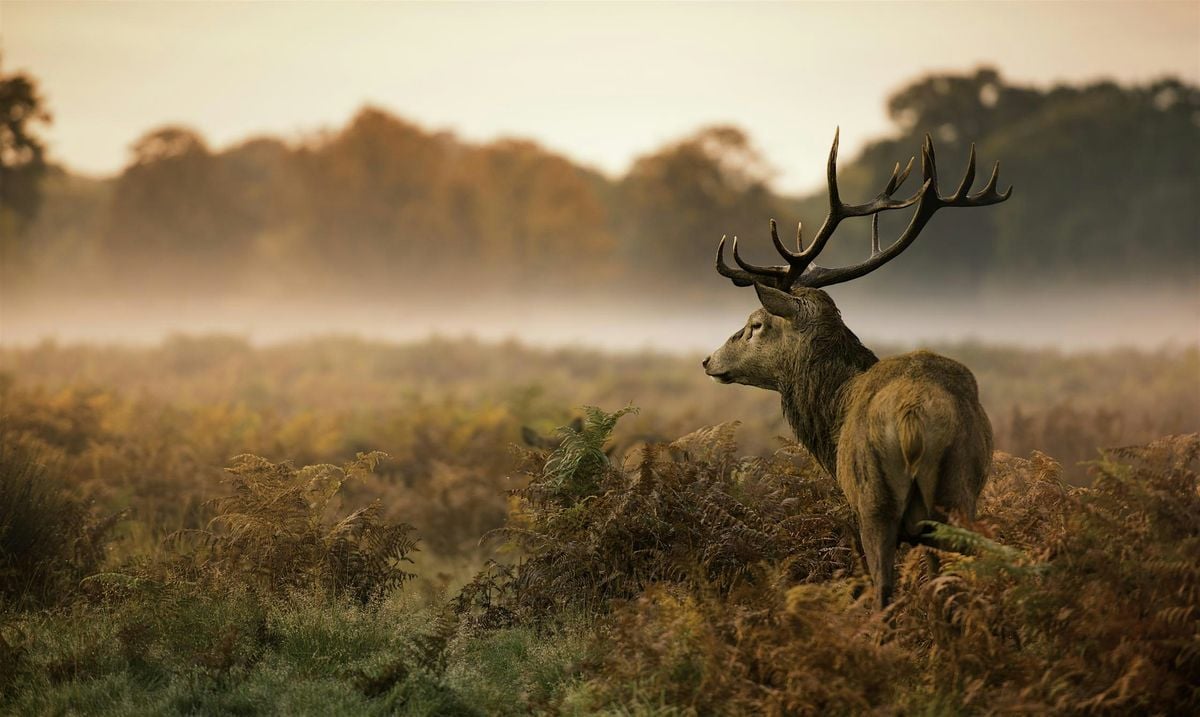 Henry's Winnipeg  Wildlife Photography Workshop, 25 October | Event in Winnipeg | AllEvents