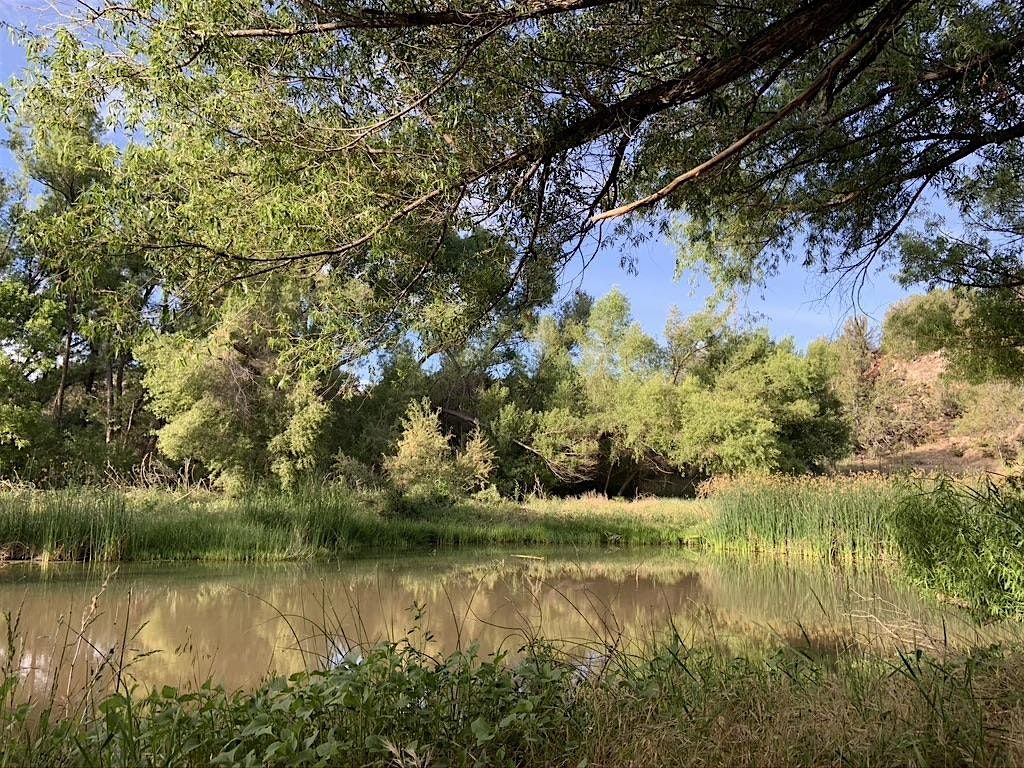 Protecting the Upper Verde River: A Community Dialogue, 16 August | Event in Prescott | AllEvents