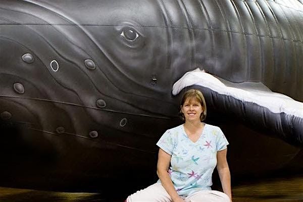The Whalemobile!, 18 August | Event in Plainville | AllEvents
