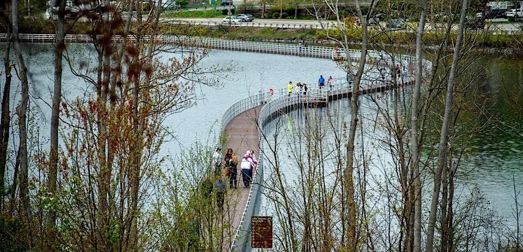 Lake Williams Boardwalk and Nature Trail, 23 August | Event in Marlborough | AllEvents