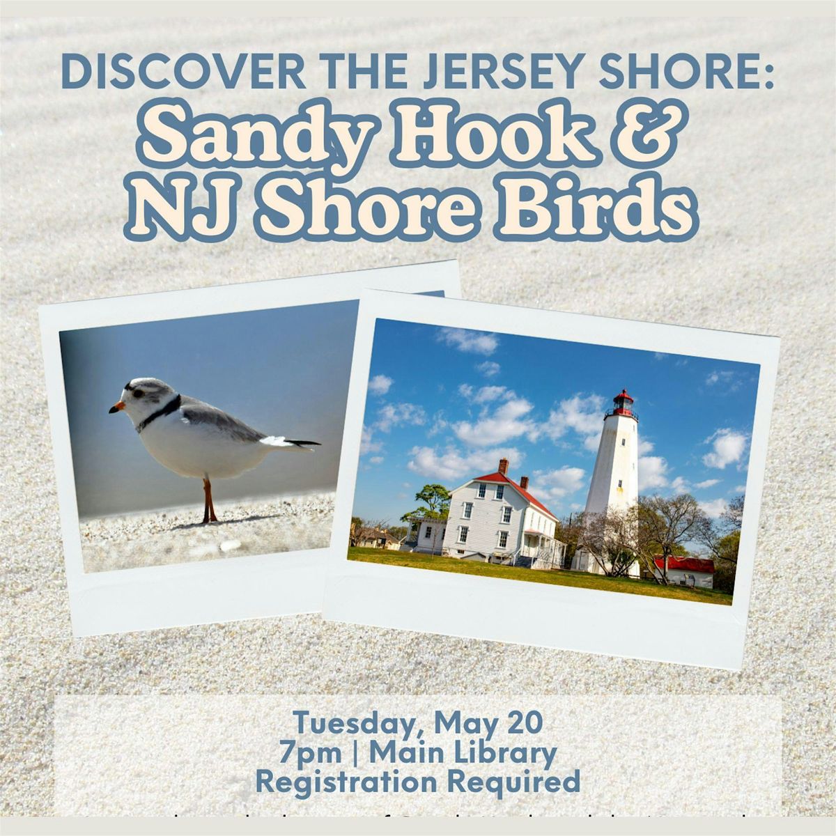 Discover the Jersey Shore: Sandy Hook & NJ Shore Birds | Event in Woodbridge Township | AllEvents