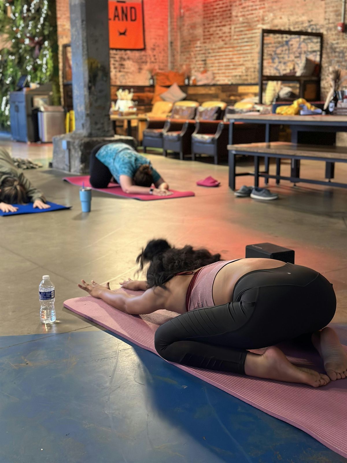 All-Levels Patio Yoga at BrewDog CLE Outpost - [Bottoms Up! Yoga & Brew], 1 November | Event in Cleveland