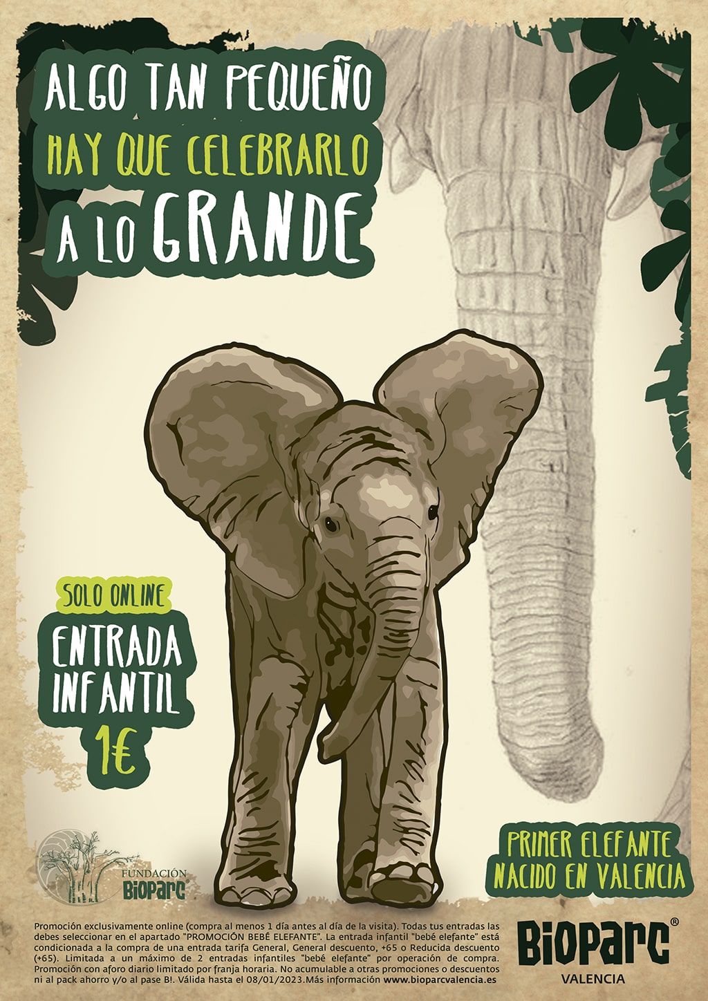 Elefantes València Tickets, 29 November | Event in València | AllEvents