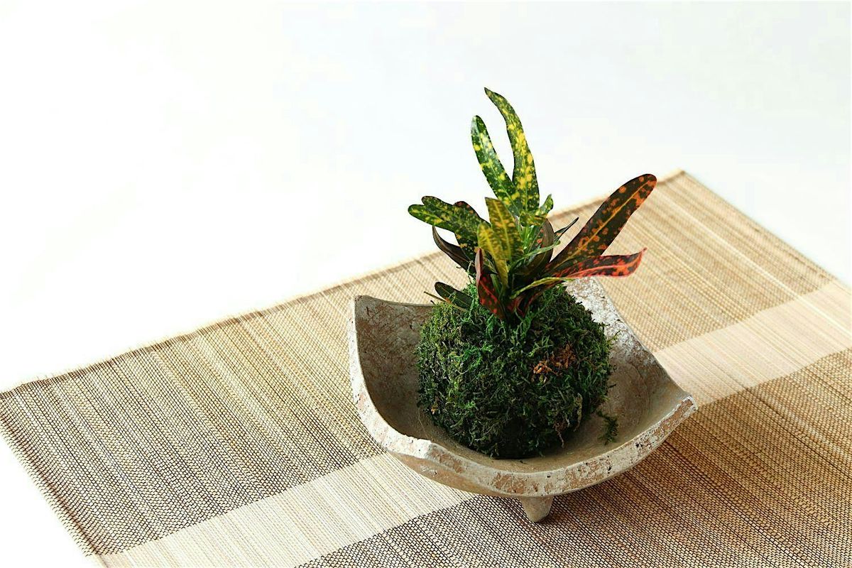 Kokedama Workshop at Division | Event in Portland | AllEvents
