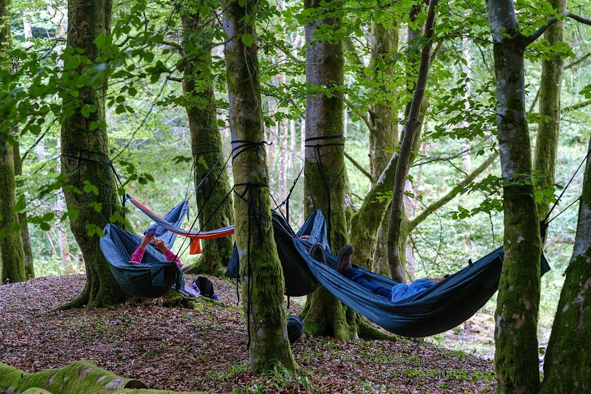 A.W.E. - Attuned With Earth December, 3 December | Event in Blairgowrie | AllEvents