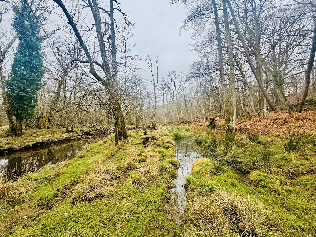 Living lab: Investigating water pollution within a Protected Landscape