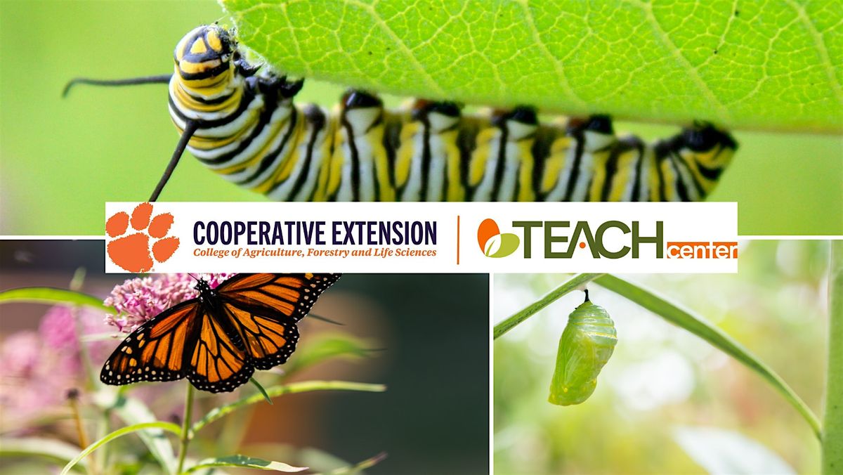 Wings of Wonder: Explore the World of Monarch Butterflies, 20 October | Event in Charleston | AllEvents
