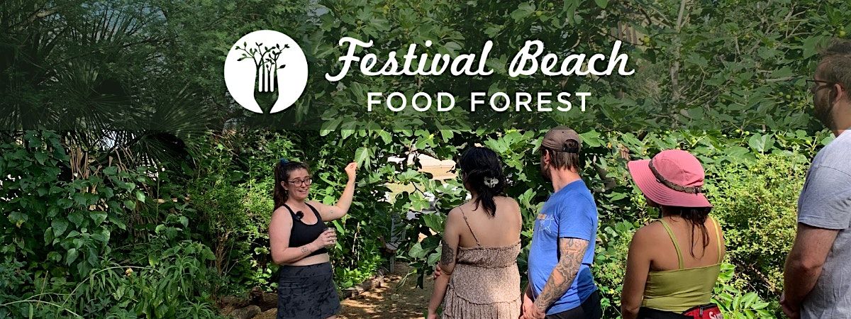 Plant Magic and Queer Foraging Walk, 7 June | Event in Austin | AllEvents
