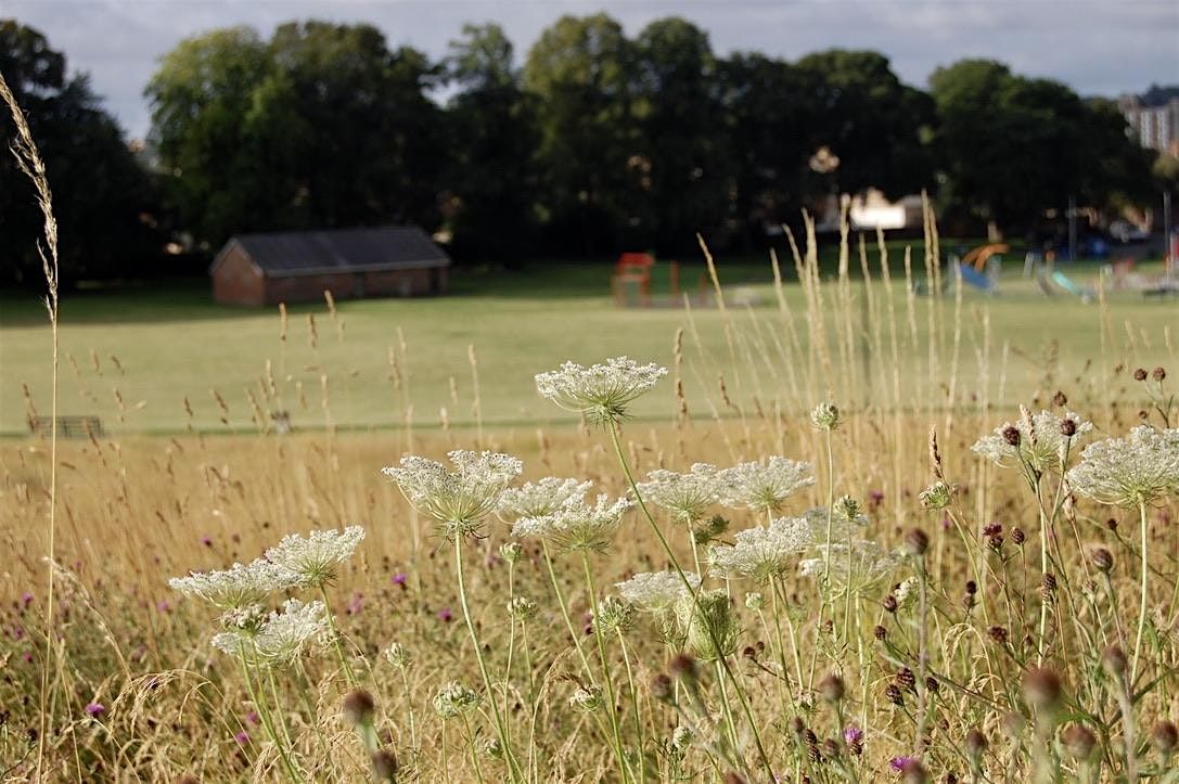 Early Morning Dawn Chorus walk in People's Park | Event in Luton | AllEvents