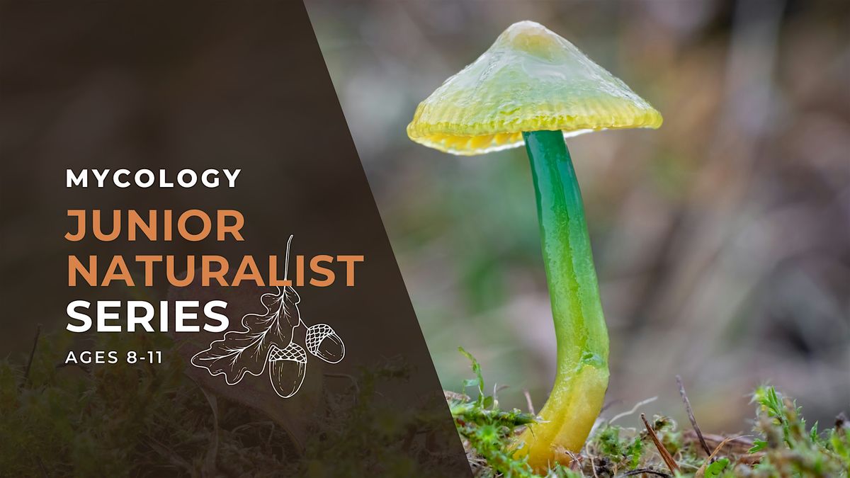 Junior Naturalist Series: Mycology | Event in Chicago | AllEvents