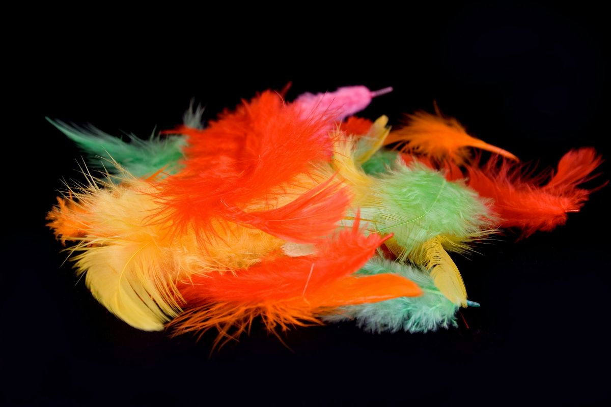 QUEEN- Salt Spring Island, 9 May | Event in Salt Spring Island | AllEvents