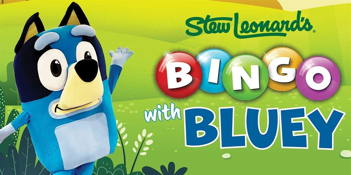Bingo with Bluey, 6 September | Event in Danbury | AllEvents