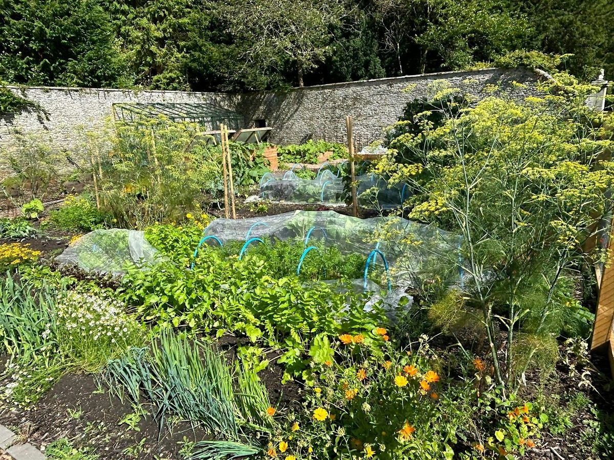 Introduction to Food Forests, 3 October | Event in Melrose | AllEvents