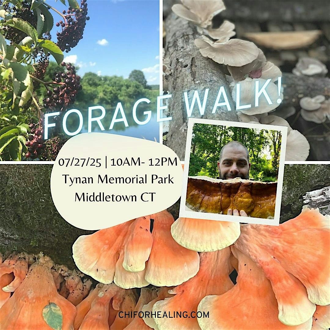 Summer Forage Walk - learn about wild edibles, medicinal plants & mushrooms, 27 July | Event in Middletown