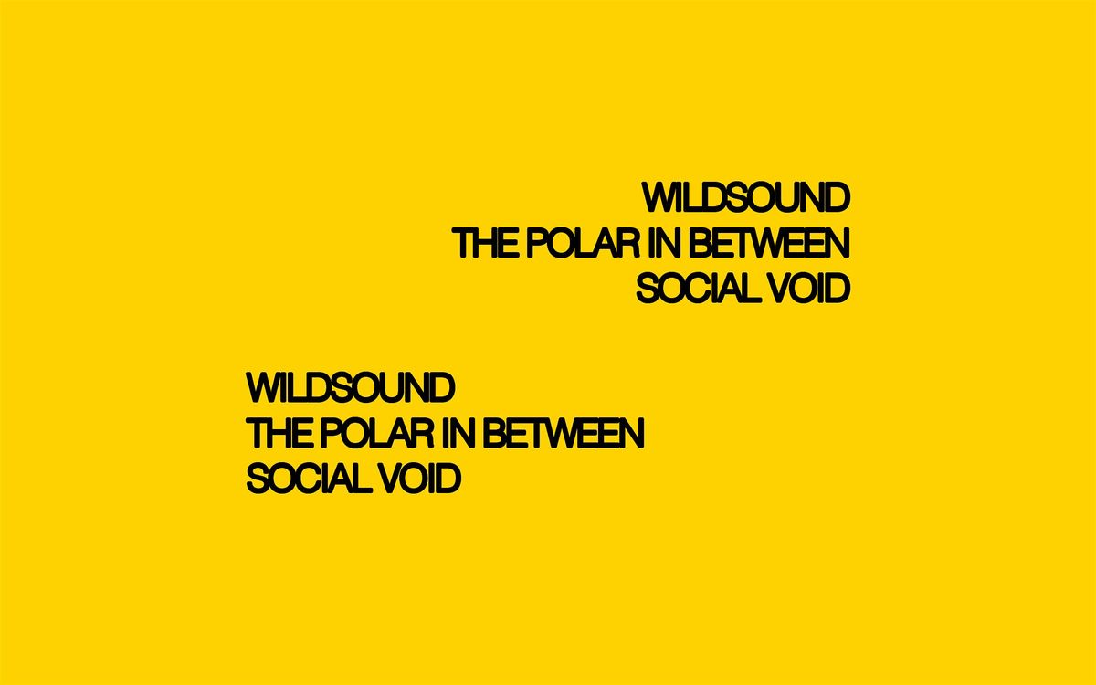 Wildsound // The Polar In Between // Social Void - LIVE AT LOFI, 23 August | Event in Charleston | AllEvents