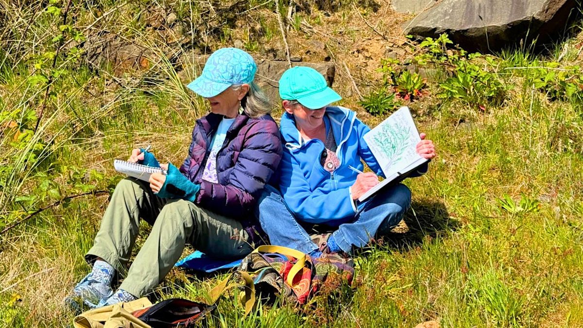 Sense of Place: Nature Journaling Session 4, 7 August | Event in Seaside | AllEvents