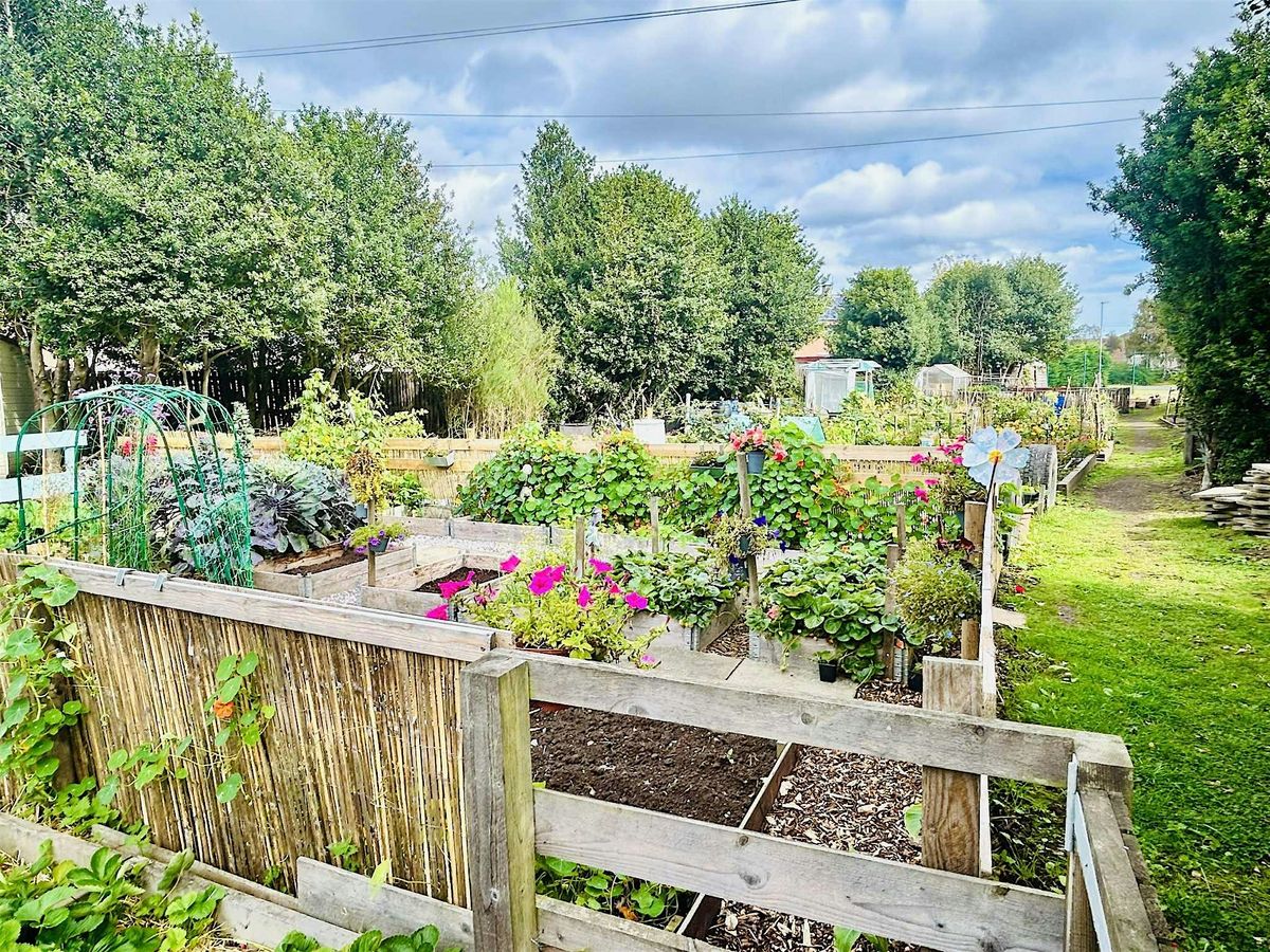 Open Day at our Allotments, 18 October | Event in St Andrews | AllEvents