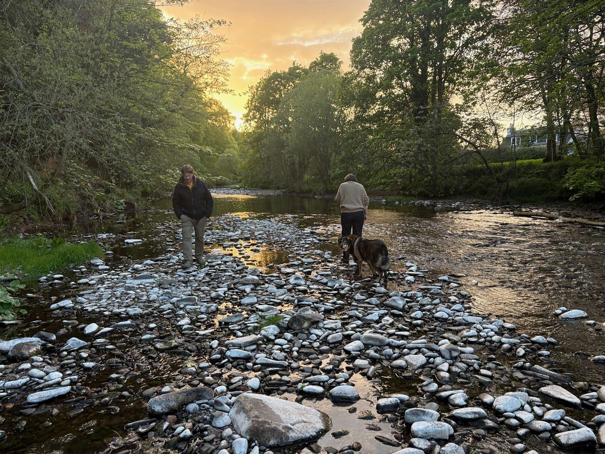 Buddha Nature: A Buddhist Nature-Connection Retreat in the Scottish Borders, 31 July | Event in Earlston | AllEvents