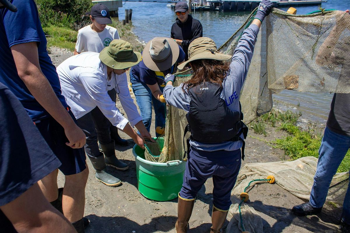 Explore the Bay: Marine Life Inventory, 10 May | Event in Newport Beach | AllEvents