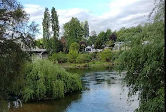 Hamilton forage fun!, 15 November | Event in Hamilton | AllEvents