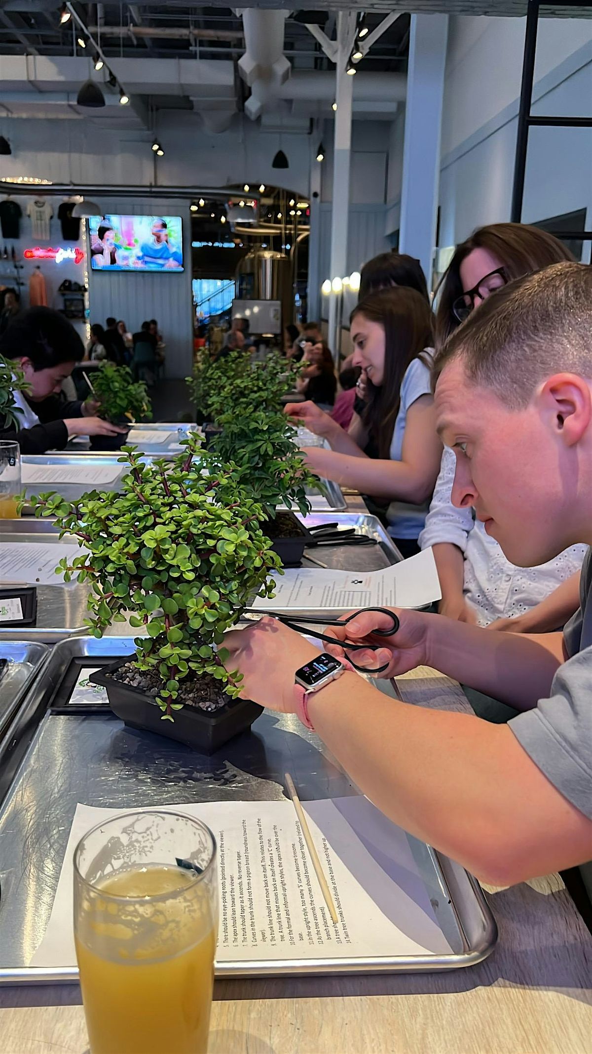 Beer and Bonsai Workshop at Union Craft Brewery, 20 August | Event in Baltimore | AllEvents